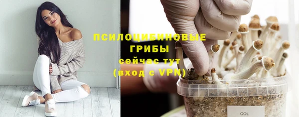 метамфетамин Белокуриха